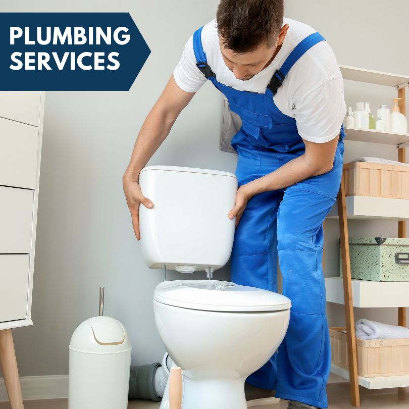 Plumbing Company in Neavitt, MD